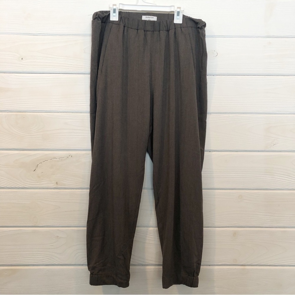 Aritzia Babaton Pull Over Dexter Pants with Pockets